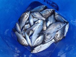 ファイル 1300-5.jpg