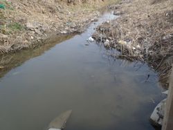 ファイル 1302-1.jpg