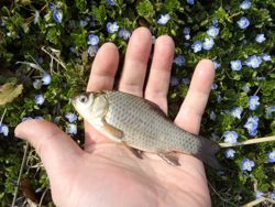 ファイル 1302-2.jpg