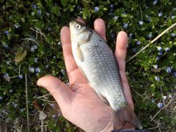 ファイル 1302-3.jpg