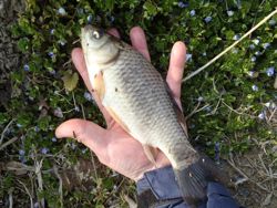 ファイル 1302-4.jpg