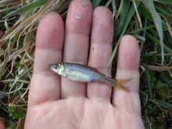 ファイル 1303-2.jpg