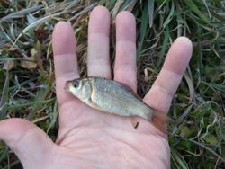 ファイル 1303-4.jpg