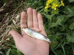 ファイル 1304-2.jpg