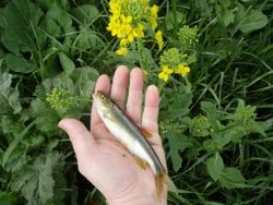 ファイル 1304-3.jpg