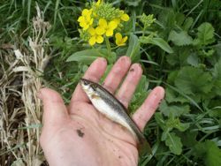 ファイル 1304-4.jpg