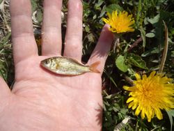 ファイル 1306-3.jpg