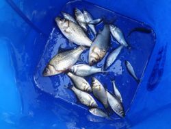 ファイル 1306-5.jpg