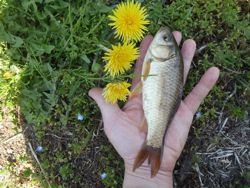 ファイル 1307-2.jpg