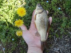 ファイル 1307-3.jpg