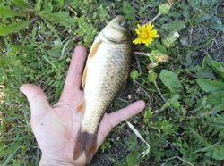 ファイル 1307-4.jpg