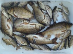 ファイル 1307-5.jpg