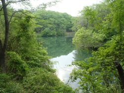 ファイル 1308-1.jpg