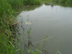 ファイル 1310-1.jpg