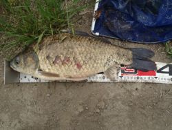 ファイル 1310-3.jpg