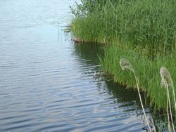 ファイル 1311-1.jpg