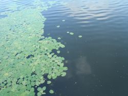 ファイル 1311-2.jpg