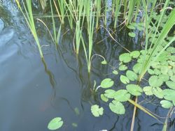 ファイル 1311-3.jpg