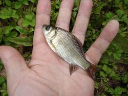 ファイル 1311-4.jpg