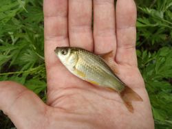 ファイル 1312-2.jpg