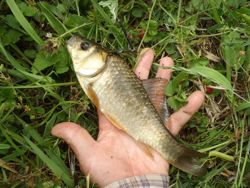 ファイル 1312-4.jpg