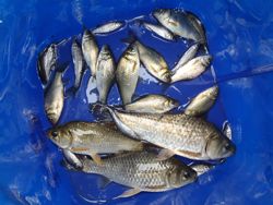 ファイル 1312-5.jpg