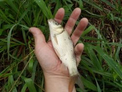 ファイル 1316-2.jpg