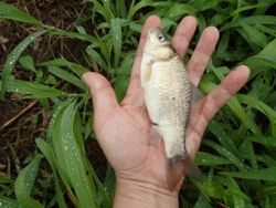 ファイル 1316-4.jpg