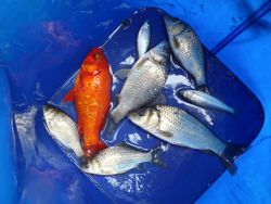 ファイル 1316-5.jpg