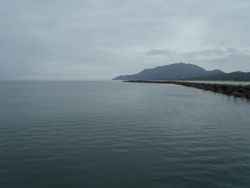 ファイル 1317-1.jpg