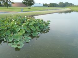 ファイル 1327-3.jpg