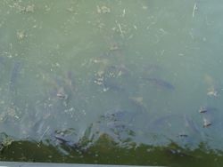 ファイル 1327-4.jpg