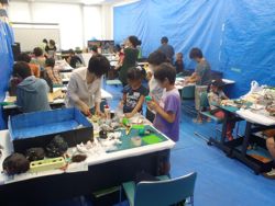 ファイル 1332-3.jpg