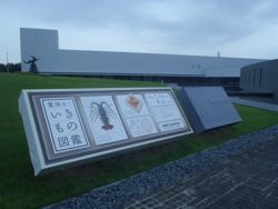 ファイル 1333-1.jpg