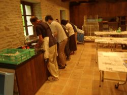 ファイル 1333-3.jpg