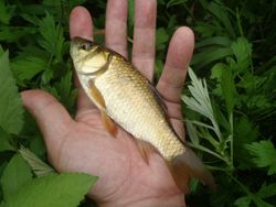 ファイル 1335-2.jpg