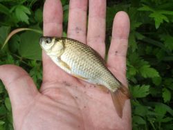 ファイル 1335-3.jpg