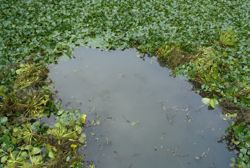 ファイル 1340-1.jpg