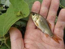 ファイル 1340-2.jpg