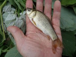 ファイル 1340-4.jpg