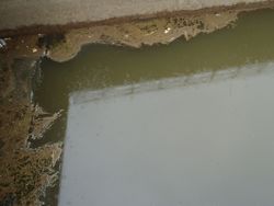 ファイル 1342-1.jpg