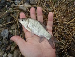 ファイル 1342-4.jpg