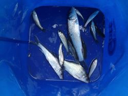 ファイル 1342-5.jpg