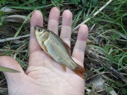 ファイル 1345-2.jpg