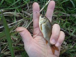 ファイル 1345-4.jpg