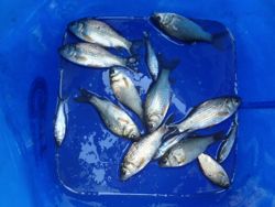 ファイル 1345-5.jpg