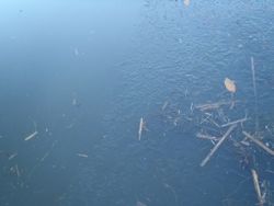 ファイル 1353-1.jpg