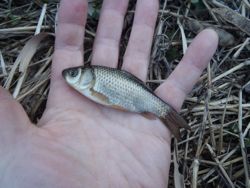 ファイル 1353-2.jpg