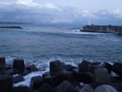 ファイル 1355-1.jpg