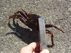 ファイル 1356-3.jpg